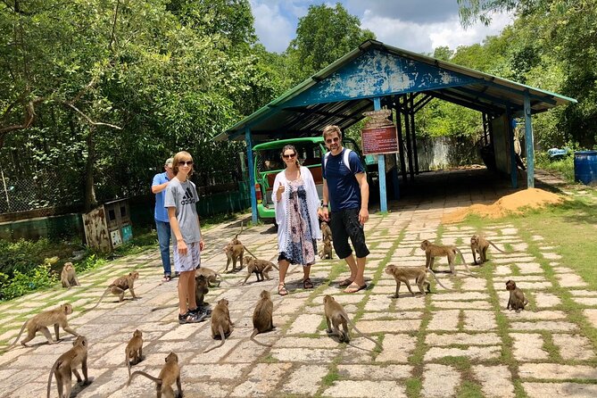 1-Day Can Gio Island-Mangrove Biosphere Reserve-Trekking - The Tang Bong tower challenge and suspension bridge moment
