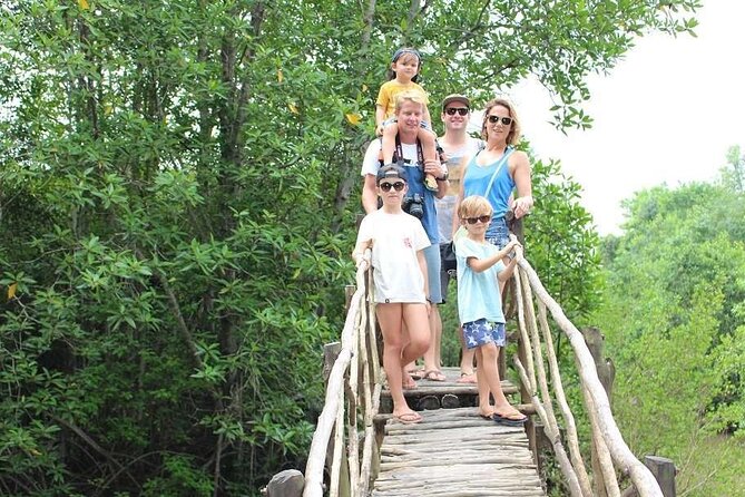 1-Day Can Gio Island-Mangrove Biosphere Reserve-Trekking - Bird sanctuary stop: when the forest gets noisy in the best way
