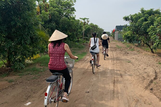 1-Day Explore Non-Touristy Side Of Mekong Delta- Group 10 Max - Organic Longan Gardens and Tea in a Local Home