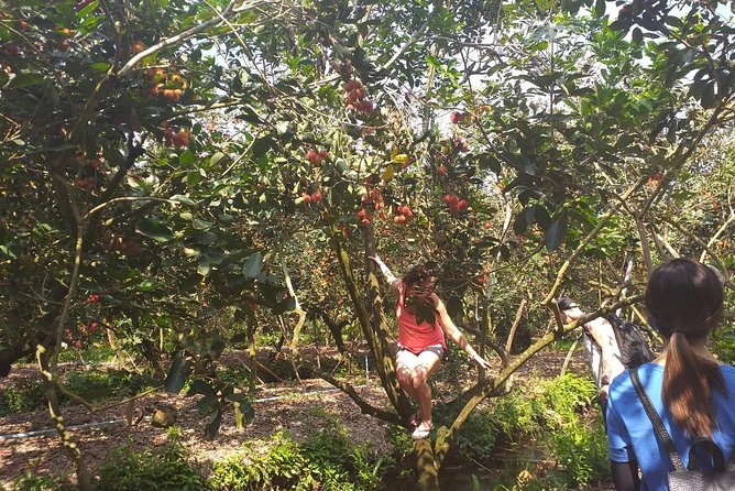 2-Day Mekong Delta with Cai Cang Floating Market from HCM City - Stork sanctuary in rice paddies: the calm counterweight