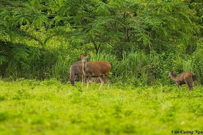 2-Day Trekking & Biking Nam Cat Tien National Park from HCM City - How The Lodge And Included Food Change Your Trip Quality