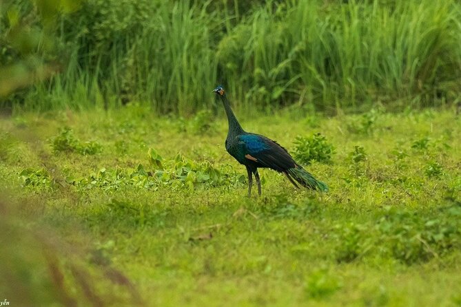 2-Day Trekking & Biking Nam Cat Tien National Park from HCM City - Small-Group Energy: Why Up To 10 Travelers Feels Better