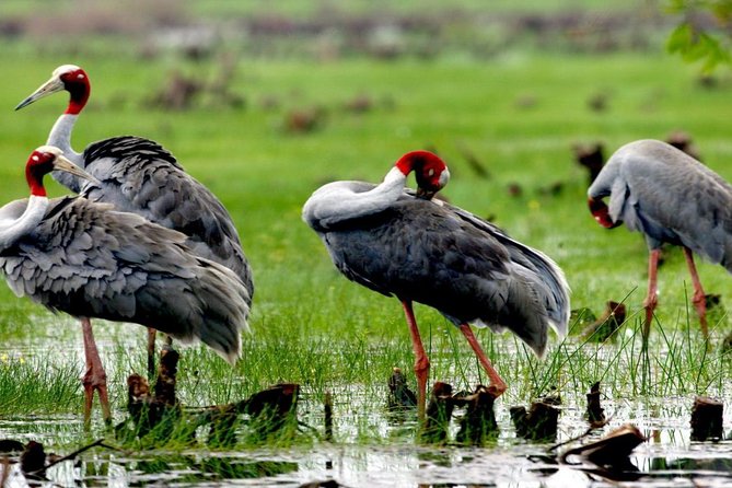 3-day group tour from Saigon to Phnom Penh - Day 2: Cai Rang Floating Market at 5:30 and Tra Su Bird Sanctuary by Small Boat