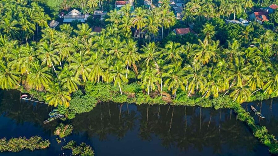3 DAYS MEKONG DELTA - English-Speaking Guide Reality Check, and How to Make It Work