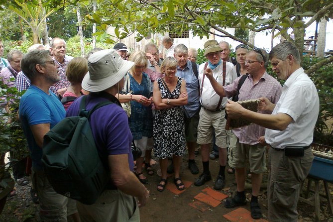3D2N Mekong - Floating Market - Chau Doc - Boat To Phnom Penh - Coconut Candy Workshop and Southern Folk Music