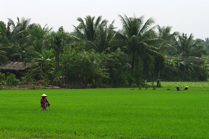 Adventure Cu Chi Tunnels and Mekong Delta Tour From HCM - My Tho on the Mekong: River Life, Four Animal Islands, and Boat Views