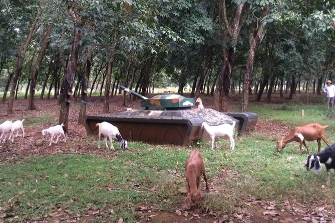 Australian Base, Long Tan & Nui Dat Tour with Vung Tau Beach - The Long Tan Cross Memorial, Incense, and How to Stay Respectful