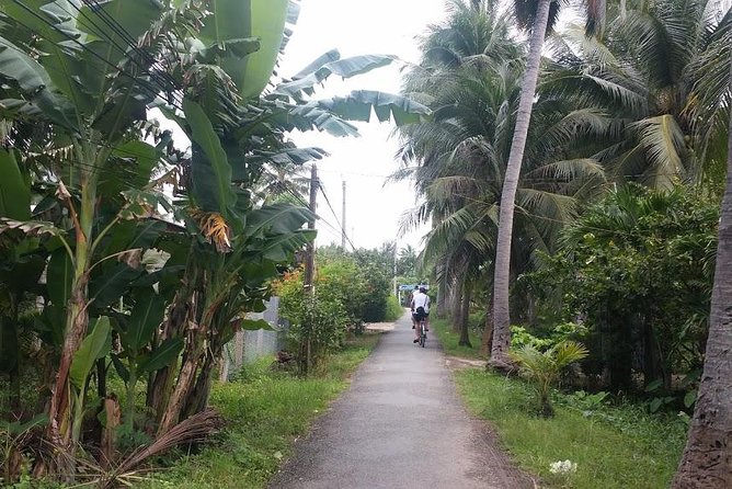 Authentic 'Non-Touristy' Mekong Delta Ben Tre 1 Day Private Tour - Coconut production and local home stops: what to look for
