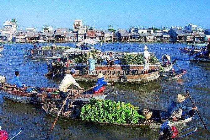 BIG BOSS private LIMOUSINE DAY TRIP TO MEKONG DElTA - Price and inclusions, does $181 feel fair?