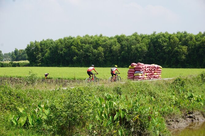 Bike And Boat Mekong Delta Cycling Tour - Stop One in Long An Province: Transfer, Bike Fit, and Coffee Time