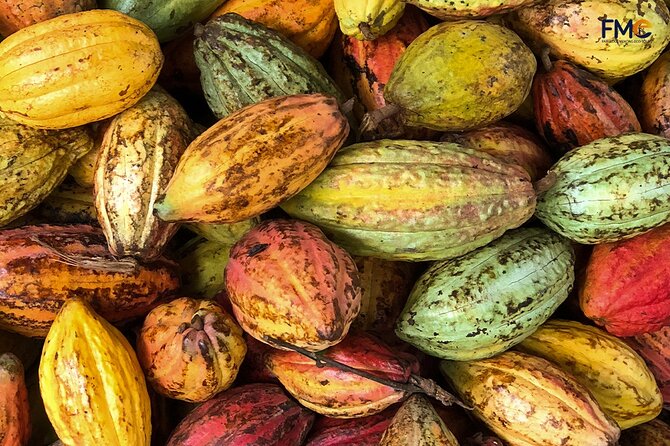 Cai Rang floating market, Cacao & hidden small canal - The return by boat to Can Tho, and planning your afternoon