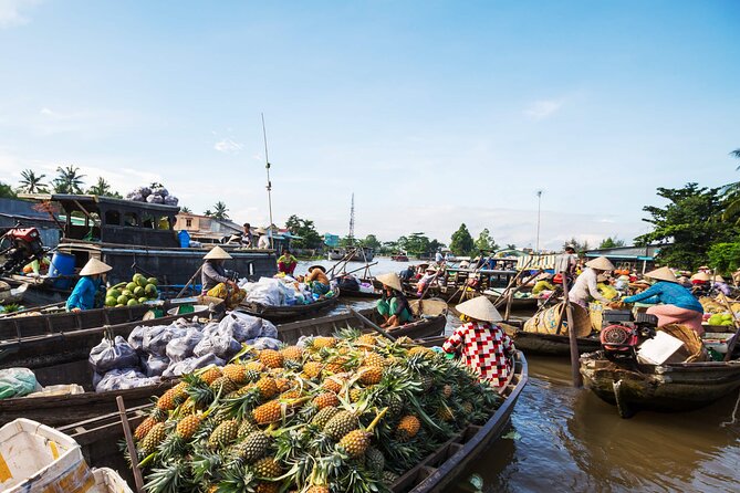 Cai Rang Floating Market & Mekong Delta 2-Day Tour from HCM City - Key highlights you should actually care about