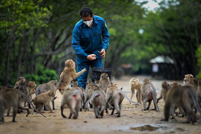 Cần Giờ Eco-Tour with Monkeys, Crocs & War History - Monkey Island in Cần Giờ: macaques on their own turf