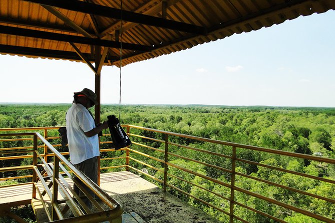 Can Gio Mangrove Eco And Wildlife Discovery Tour - Vam Sat Eco-Tourist Zone: nesting birds, crocodile swamp, and a bat lagoon