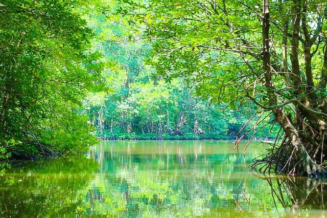 Can Gio Mangrove Forest 1 day tour - Key things that make this tour worth your time