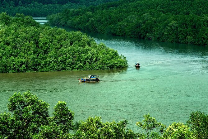 Can Gio Mangrove Forest 1 day tour - Getting there and the tide-based start time that you should plan around