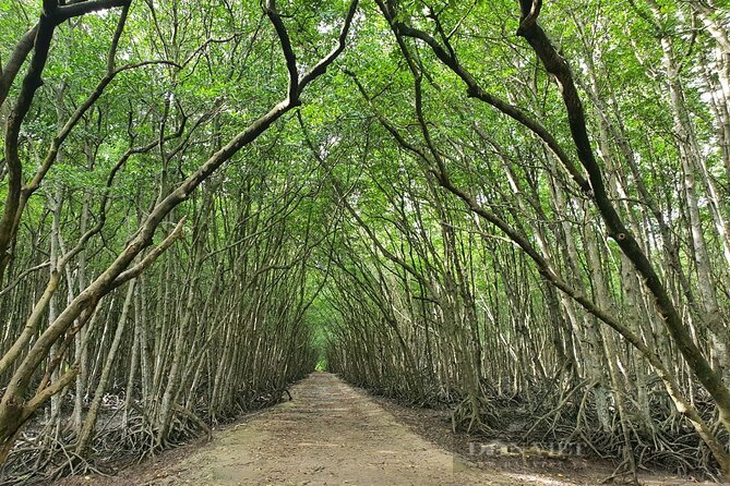 Can Gio Mangrove Forest 1 day tour - 30th April Beach and pool time: your reset after boats and animals