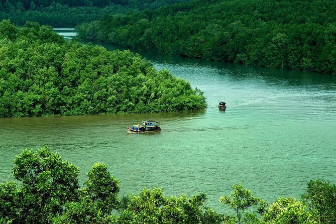 Can Gio Mangrove Forest Island Private Tour From Ho Chi Minh City - Key highlights to know before you go