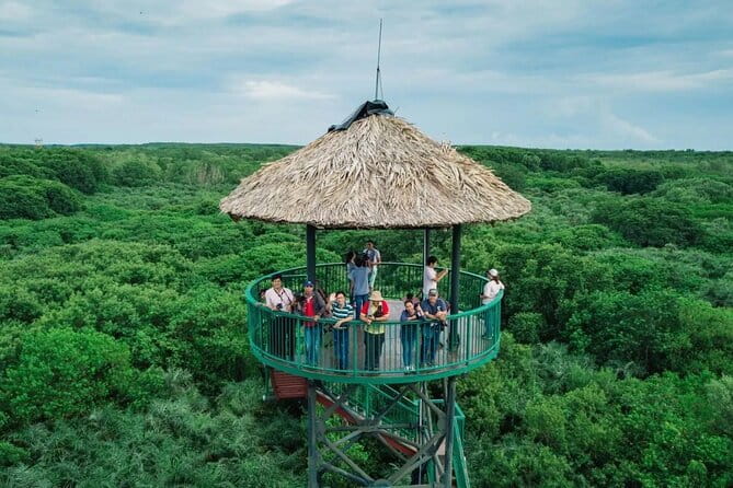 Can Gio Mangrove Forest Island Private Tour From Ho Chi Minh City - Crocodile Fishing: The One That Tests Your Nerves