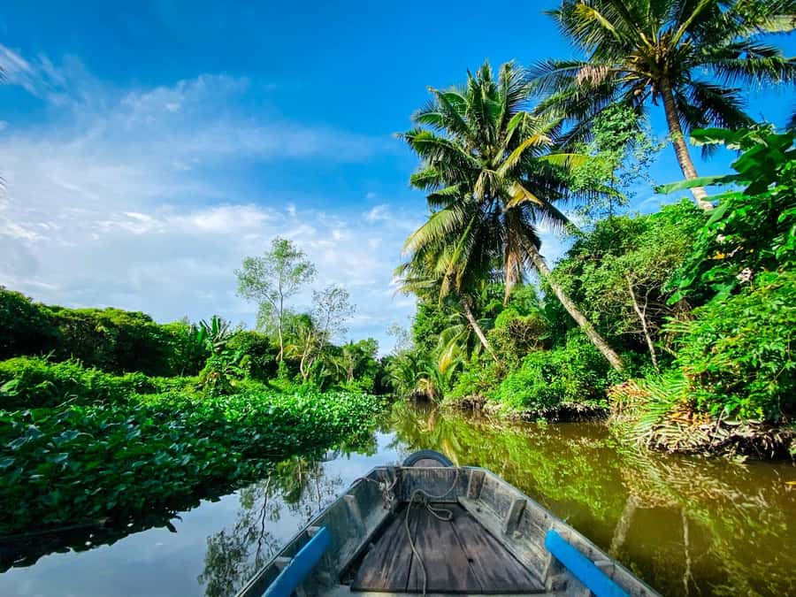 Can Tho: A Real Mekong Tour, Floating Market, Cacao & Life's - The noodle factory visit where you actually see the work
