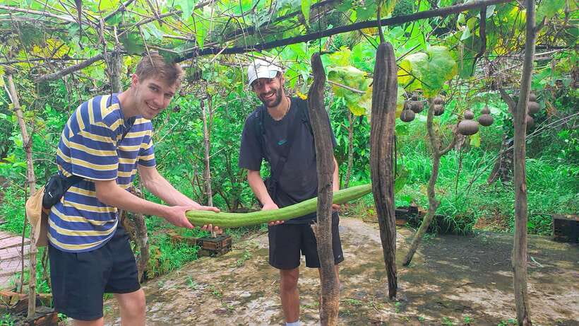 Can Tho: Authentic Mekong Delta – Real Local Life Tour. - The garden hut break: tropical fruits and green tea