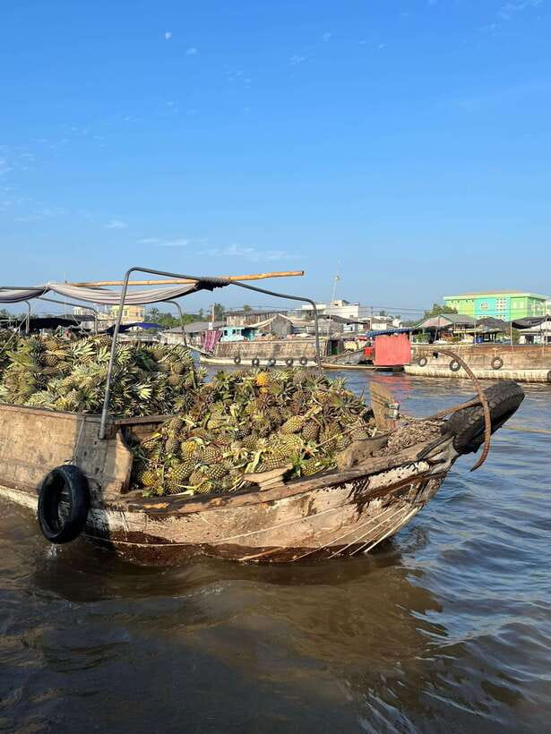 Can Tho: Cai Rang Floating Market and Canals - Cai Rang floating market: how the trading actually works