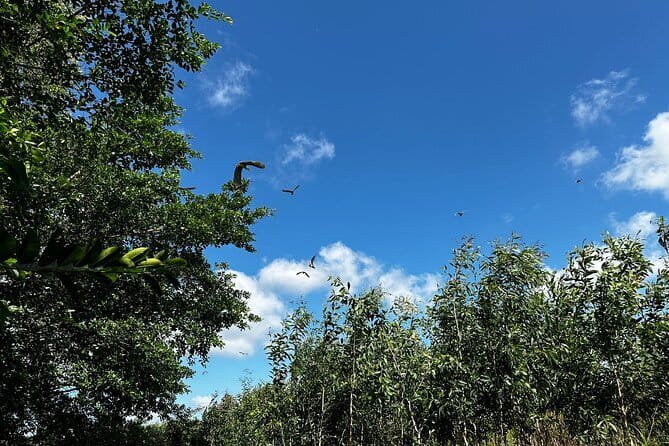 Can Tho: Explore Craft Village & Lung Ngoc Hoang Nature Reserve - Leaving Can Tho for Lung Ngọc Hoàng’s protected wetlands