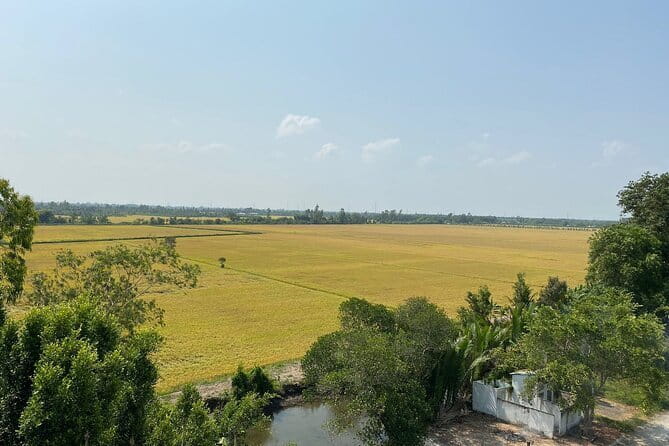Can Tho: Explore Craft Village & Lung Ngoc Hoang Nature Reserve - Climbing the 25-meter tower and your bird-watching options