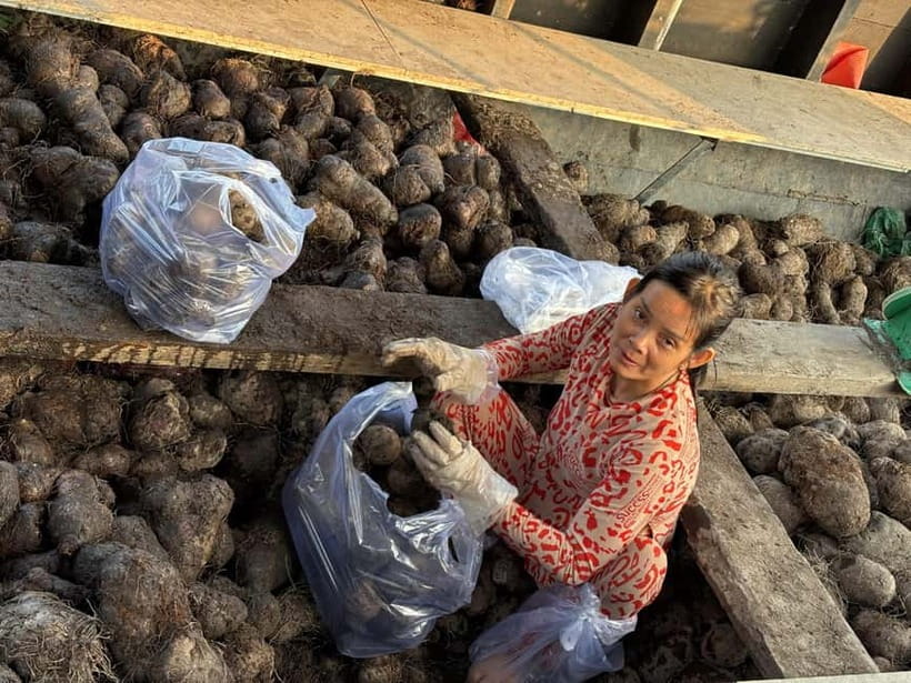 Can Tho: Floating Market, Cacao & Canals with French Guide - Mr. Cacao’s Organic Farm, Cacao Milk and Wine Tasting