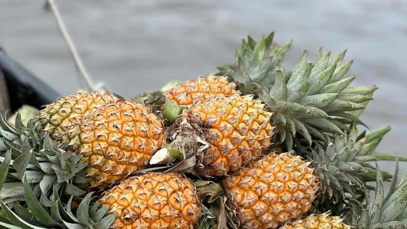 Can Tho: Floating Market explore local life, Mekong farm - The big idea: eat breakfast where the Mekong lives