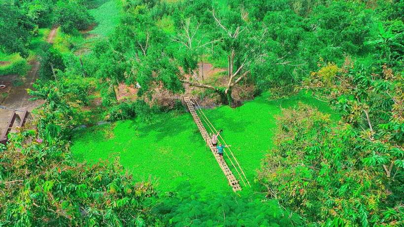 Can Tho: Floating Market & Lung Ngoc Hoang Nature Reserve - Bamboo basket weaving village: try the craft, not just watch