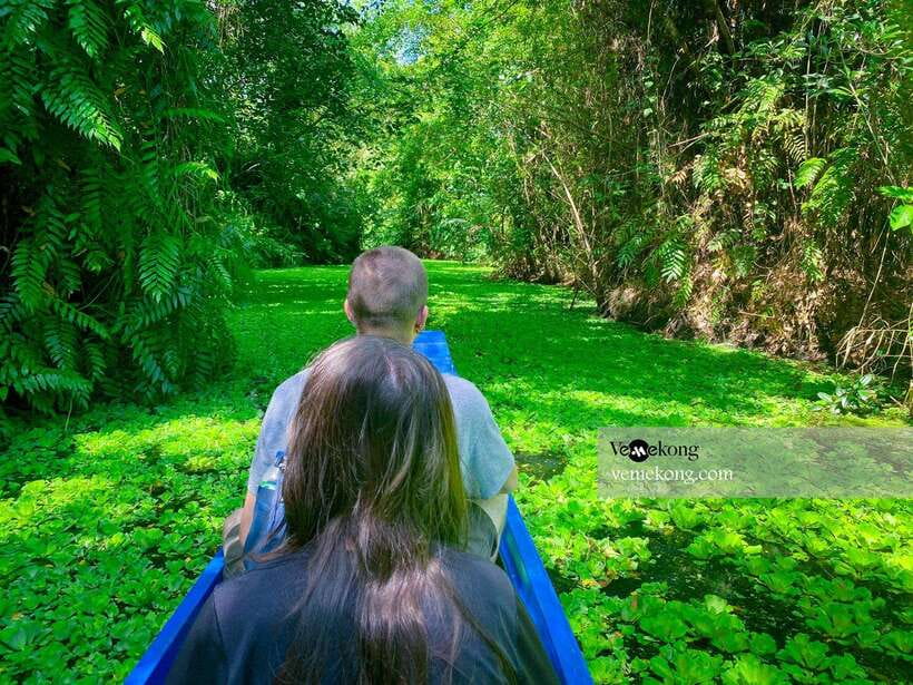Can Tho: Lung Ngoc Hoang Forest Nature Reserve Half-Day Tour - The Giant Ficus microcarpa Tree and the Wartime Story
