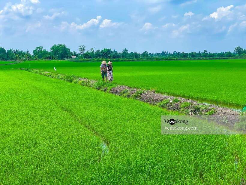 Can Tho: Lung Ngoc Hoang Forest Nature Reserve Half-Day Tour - Guides, Small Groups, and How You Get Better Wildlife Spotting