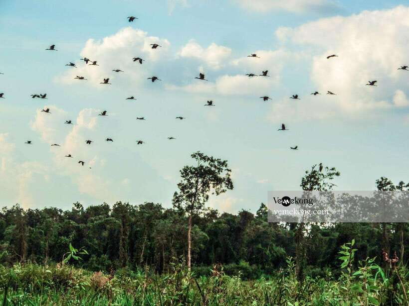 Can Tho: Lung Ngoc Hoang Forest Nature Reserve Half-Day Tour - Price and Value: Is $47 Worth a Half-Day in Can Tho?