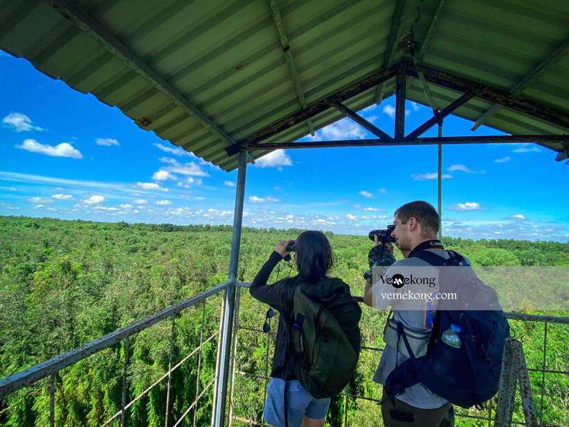 Can Tho: Lung Ngoc Hoang Nature Reserve & Forest Tour - Lung Ngoc Hoang: the quiet green side of Can Tho