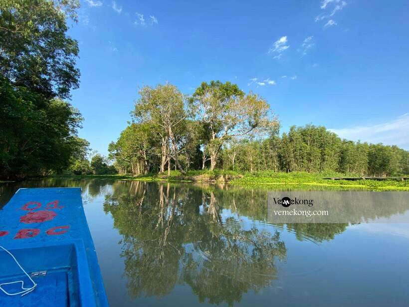 Can Tho: Lung Ngoc Hoang Nature Reserve & Forest Tour - The heritage giant ficus microcarpa, and the war stories you’ll hear