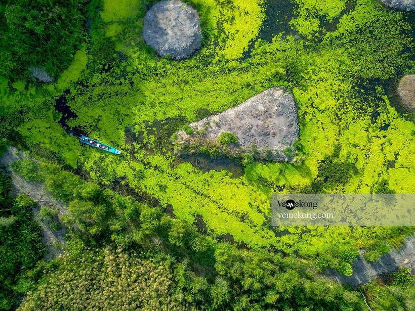 Can Tho: Lung Ngoc Hoang Nature Reserve & Forest Tour - Who should book this forest and wetland tour