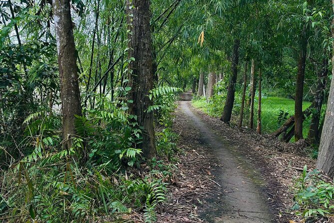 Can Tho: Lung Ngoc Hoang Nature Reserve & Hidden Forests - Forest walk, or boat again: you control the effort level
