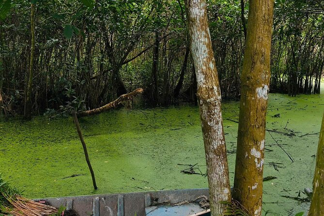 Can Tho: Lung Ngoc Hoang Nature Reserve & Hidden Forests - Guides and organization: the day runs on small details