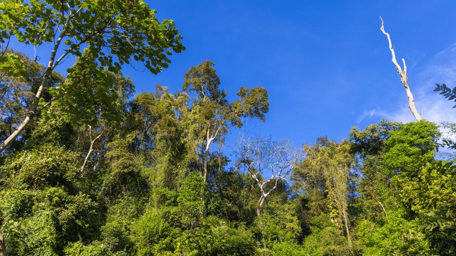 Cat Tien National Park with Crocodile Lake - Key Things I’d Book This For