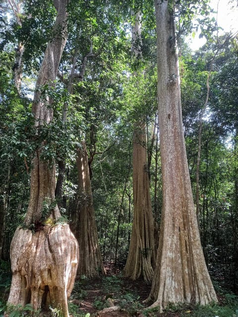Cat Tien National Park with Crocodile Lake - FAQ