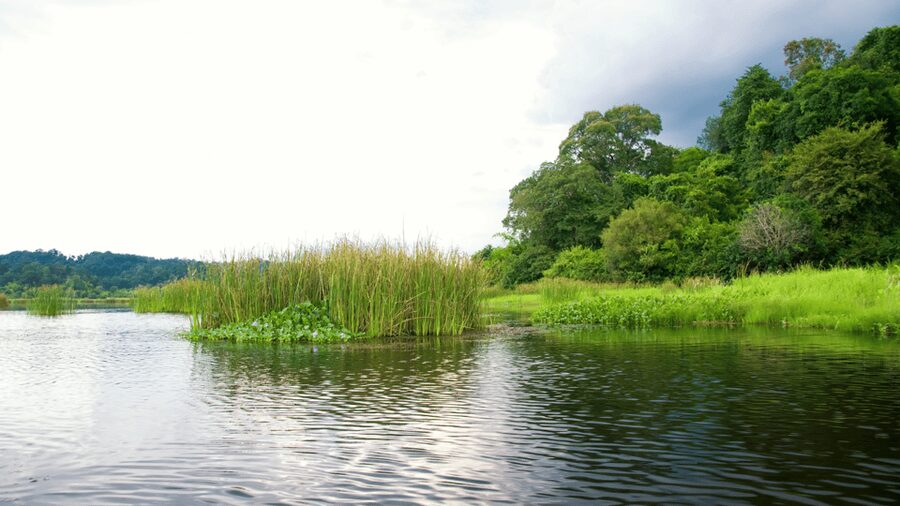Cat Tien National Park with Crocodile Lake - Crocodile Lake: UNESCO Biosphere, Endangered Reptiles, and Boat Time