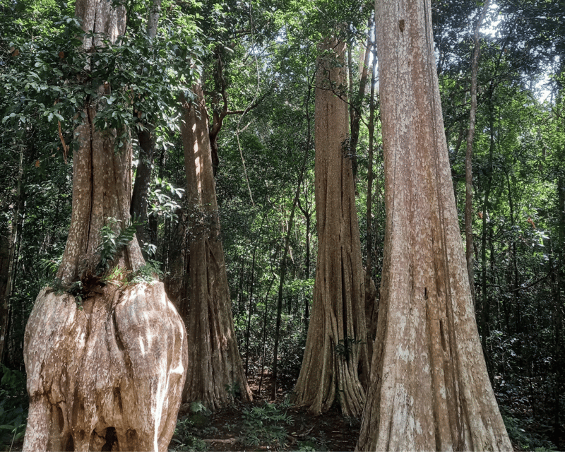 Cat Tien National Park with Crocodile Lake - Price and Logistics: Is $165 Good Value?