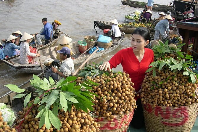 Culture and Wildlife Discovery Explore Chau Doc Tra Su Forest - Ba Chua Xu Temple and Sam Mountain: culture with payoff views
