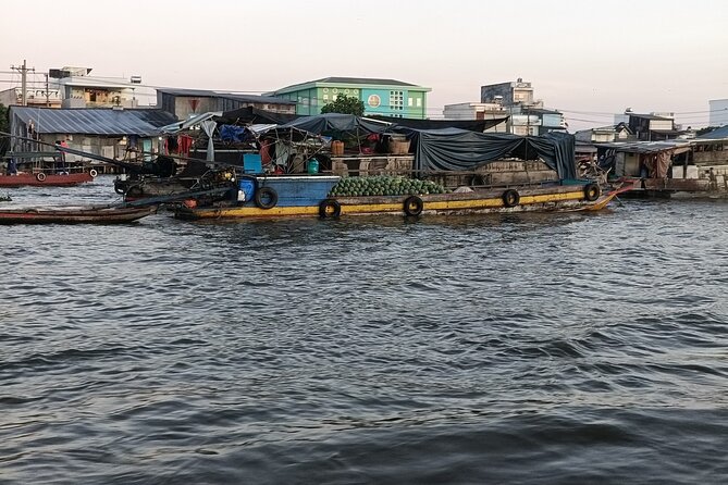 Deluxe Mekong Delta Tour to Floating Market 2 Days 1 Night Trip - Two days in the Lower Mekong: what this tour really delivers