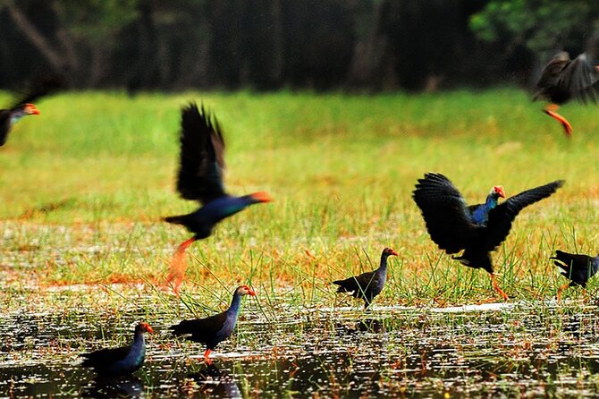 Discover Mua Xuan Nature Reserve - Group Size, Guide Style, and How the Day Flows