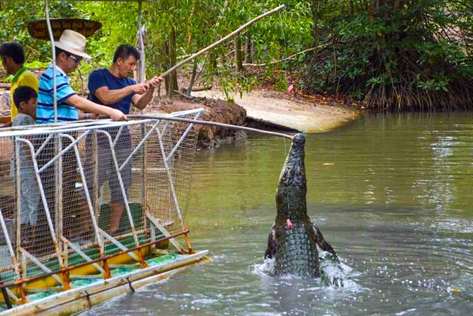 Explore Monkey Islands and Gio Mangrove Forest From Ho Chi Minh - Can Gio Mangrove Biosphere Reserve: mangroves, river life, and a real walking portion
