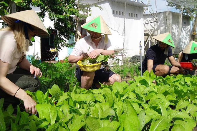 Explore Vietnamese Cuisine: Cooking Class from Ho Chi Minh City - What to know before you go, including dietary needs and what to expect on the day