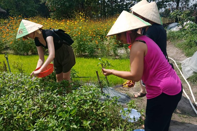 Farm-To-Table Healthy Cooking Class in Ho Chi Minh City - What you eat, plus the take-home items that make it stick