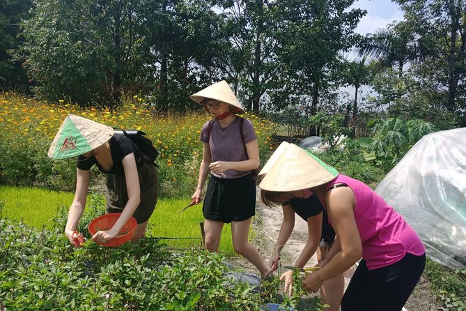 Farm-To-Table Healthy Cooking Class in Ho Chi Minh City - Who this farm-to-table class suits best